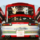 Illustration for article titled A Thousand Cars, Covered In Otaku Stickers